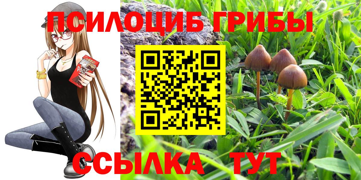 Владивосток  Галлюциногенные грибы Psilocybe  Вход с VPN 